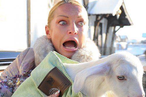 Анастасию Волочкову обвиняют в занятии проституцией Анастасию Волочкову обвиняют в занятии проституцией