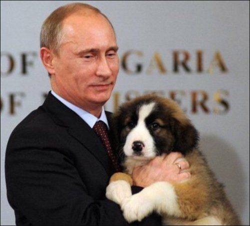 Путин и киевская пустота Путин и киевская пустота
