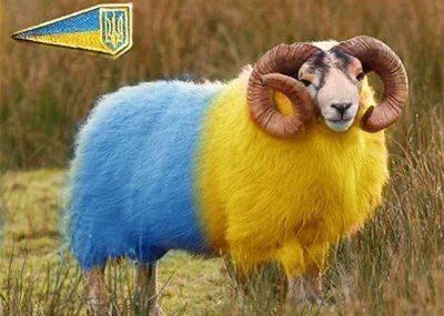 Не герои Не герои