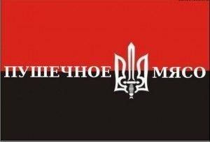 Организованной толпой солдат погнали на убой Организованной толпой солдат погнали на убой
