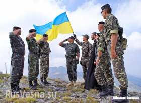 Пограничье, Изварино: мы в кольце, в живых осталось мало, эту ночь мы не переживем — украинский солдат (видео) Пограничье, Изварино: мы в кольце, в живых осталось мало, эту ночь мы не переживем — украинский солдат (видео)
