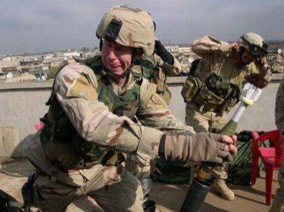 Песец  возвращается Песец  возвращается