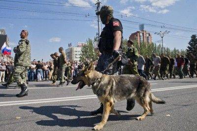 Бешенство карликов Бешенство карликов