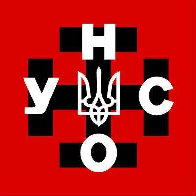 "Азов", "Донбасс", "Правый сектор": символы СС в украинском прочтении "Азов", "Донбасс", "Правый сектор": символы СС в украинском прочтении