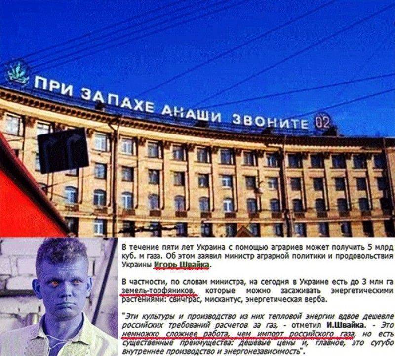 В эфире "Сельский час". Наш гость - энергетический укроп В эфире "Сельский час". Наш гость - энергетический укроп