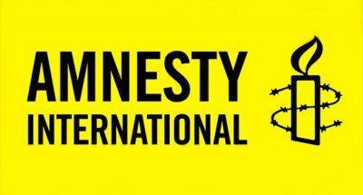 Amnesty International приедет на Украину с расследованием Amnesty International приедет на Украину с расследованием