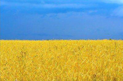 Украина: если завтра война, то есть, мир? Украина: если завтра война, то есть, мир?