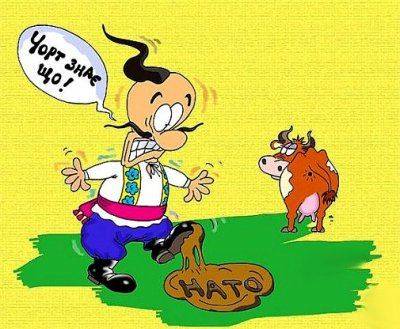 Французский политик счел разговоры о вступлении Украины в НАТО сумасшествием. Французский политик счел разговоры о вступлении Украины в НАТО сумасшествием.