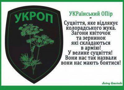 Обесчеловечивание нации Обесчеловечивание нации