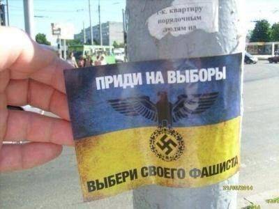 В Сопротивлении призвали соратников игнорировать выборы фашистов В Сопротивлении призвали соратников игнорировать выборы фашистов