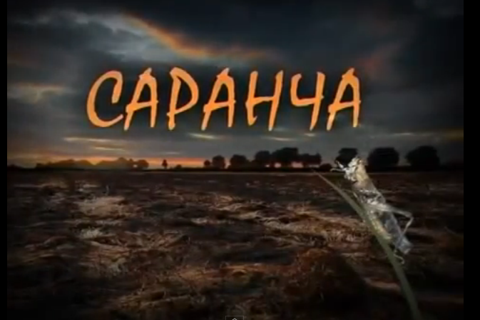 Последний аккорд. "Саранча". Последний аккорд. "Саранча".
