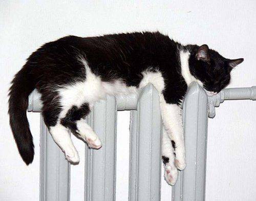 Киев повысил стоимость отопления Киев повысил стоимость отопления