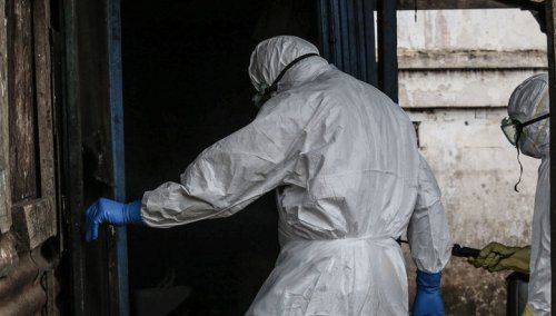 Чикунгунья идет на смену Эболе Чикунгунья идет на смену Эболе