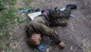 Сводки от ополчения Новороссии 17 октября 2014 год Сводки от ополчения Новороссии 17 октября 2014 год