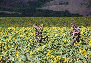 Сводка: главнокомандующий ВСУ направлен на Донбасс, армия Новороссии готовится к нападению врага Сводка: главнокомандующий ВСУ направлен на Донбасс, армия Новороссии готовится к нападению врага