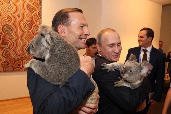 Атака на Путина на саммите G20: Обама, Эбботт и другие западные лидеры вели себя демонстративно Атака на Путина на саммите G20: Обама, Эбботт и другие западные лидеры вели себя демонстративно