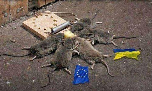 Воны здобулы: майдан обрек пациентов киевских больниц на смерть Воны здобулы: майдан обрек пациентов киевских больниц на смерть