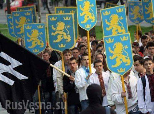 В Испании антифашисты шлемами избили украинских националистов  В Испании антифашисты шлемами избили украинских националистов