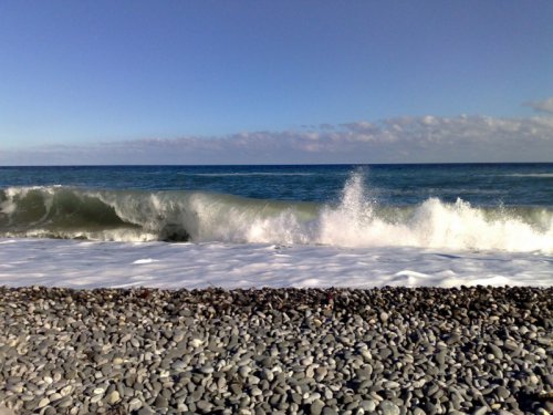 Сон разума рождает коалицию Сон разума рождает коалицию