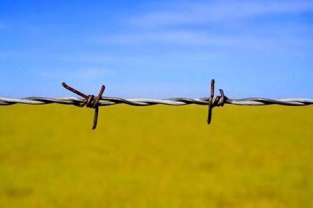 Украинство как палка о двух концах Украинство как палка о двух концах