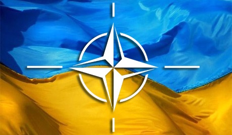 Путь в НАТО - тревожный звонок для Донбасса Путь в НАТО - тревожный звонок для Донбасса