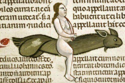 Закон и порядок в США