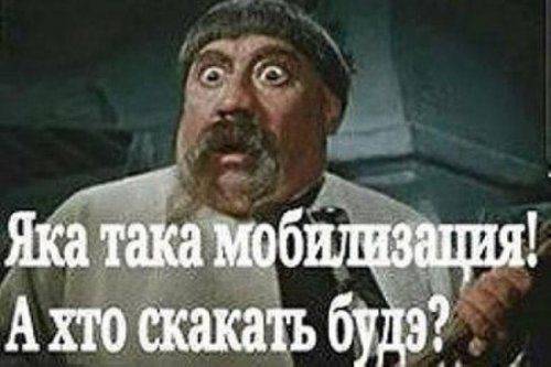 Украинцы прячутся от мобилизации, но требуют объявления войны России Украинцы прячутся от мобилизации, но требуют объявления войны России