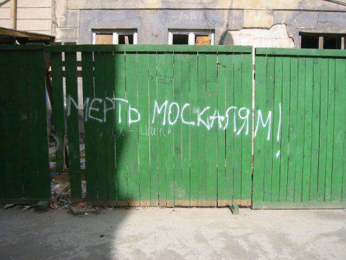 России не стоит метать бисер перед свиньями – военный эксперт   России не стоит метать бисер перед свиньями – военный эксперт