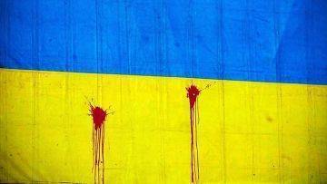Украина должна стать федеральным и двуязычным государством Украина должна стать федеральным и двуязычным государством