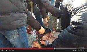Теракт в Харькове 22.02.2015: Неряшливая и бездарная провокация СБУ Теракт в Харькове 22.02.2015: Неряшливая и бездарная провокация СБУ