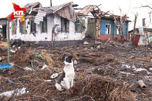 «Урочище» Никишино: силы ДНР выбили украинские подразделения из деревни на юго-востоке «Дебальцевского котла» «Урочище» Никишино: силы ДНР выбили украинские подразделения из деревни на юго-востоке «Дебальцевского котла»
