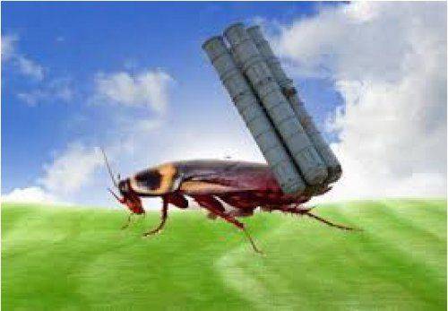 От киборгов до тараканов. Свидомая эволюция От киборгов до тараканов. Свидомая эволюция