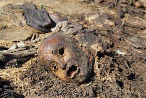 Будет ли мир? Будет ли мир?