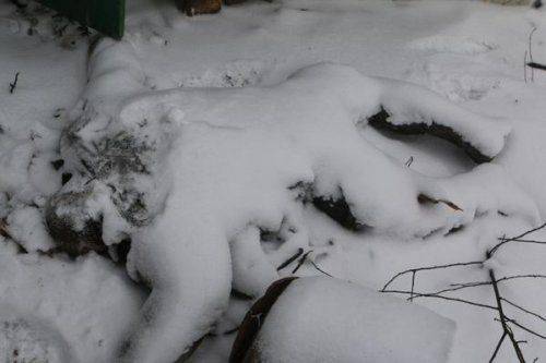 Сводки от ополчения Новороссии 17 февраля 2015 Сводки от ополчения Новороссии 17 февраля 2015