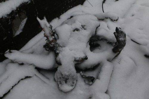 Сводки от ополчения Новороссии 17 февраля 2015 Сводки от ополчения Новороссии 17 февраля 2015