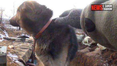 Сводки от ополчения Новороссии 21 февраля 2015 Сводки от ополчения Новороссии 21 февраля 2015