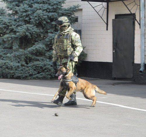 В Одесской области готовятся к массовым беспорядкам В Одесской области готовятся к массовым беспорядкам