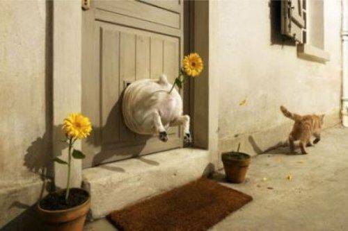 Львовские женщины отказываются от подарков: «Отдайте деньги на АТО!» Львовские женщины отказываются от подарков: «Отдайте деньги на АТО!»