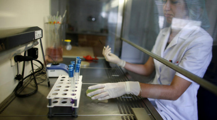 Американская супербактерия начала распространяться по воздуху, создав угрозу глобальной эпидемии Американская супербактерия начала распространяться по воздуху, создав угрозу глобальной эпидемии