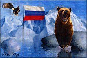 Песец, холодный нос Песец, холодный нос