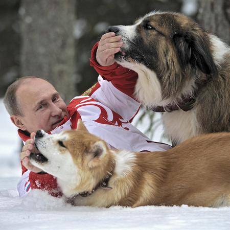 Путин унизил нацию Путин унизил нацию
