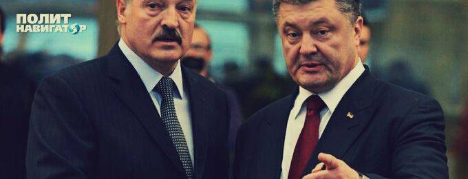 Лукашенко внезапно занял позицию Порошенко в переговорах по Украине Лукашенко внезапно занял позицию Порошенко в переговорах по Украине
