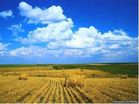 Украина. Истоки сегодняшнего положения вещей Украина. Истоки сегодняшнего положения вещей