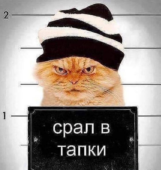 Поймал бытового сепаратиста. Александр Зубченко Поймал бытового сепаратиста. Александр Зубченко