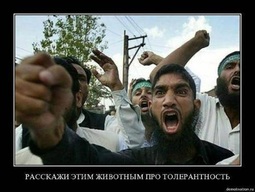 Европа. Толерантность понад усе Европа. Толерантность понад усе