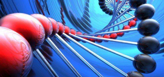 Гомофобы против клоунов Гомофобы против клоунов