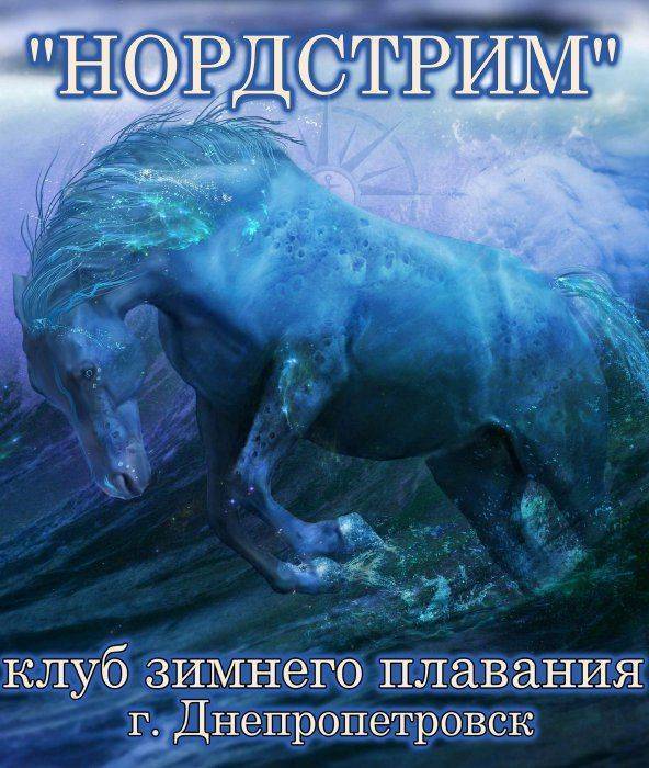 Пловец из Днепропетровска готовит новый заплыв в Крыму Пловец из Днепропетровска готовит новый заплыв в Крыму