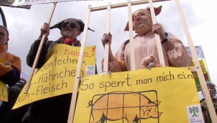 Антиамериканские демонстрации в ФРГ: немцы поддерживают Россию Антиамериканские демонстрации в ФРГ: немцы поддерживают Россию