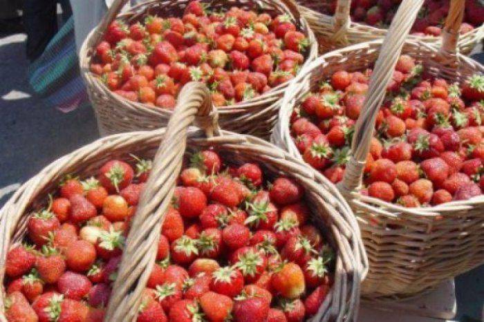 Вся Одесса - Тернопольская область Вся Одесса - Тернопольская область