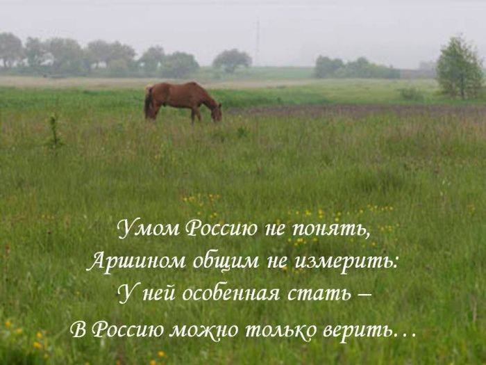 За здоровье русского народа! За здоровье русского народа!